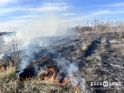 На Шепетівщині паліїв трави «ловлять» за допомогою дронів
