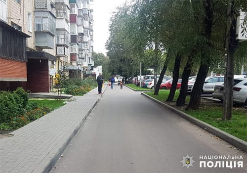 43-річний шепетівчанин наїхав на пенсіонерку