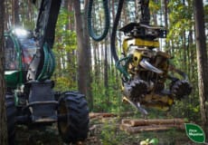 Сучасні харвестер та форвардери змінюють підхід до лісозаготівлі на Шепетівщині