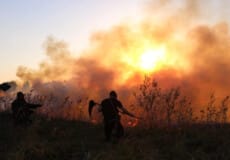 Україна у вогні. Чому ситуація з пожежами погіршується?