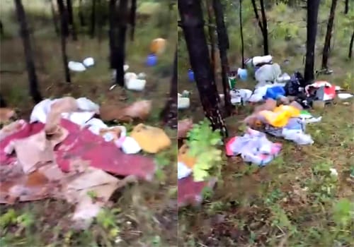 У лісопосадці на Шепетівщині виявили сміттєзвалище