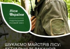 На Хмельниччині шукають майстрів лісу 