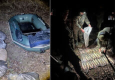 На Хмельниччині місцеві жителі виловили рідкісних причорноморських вирезубів