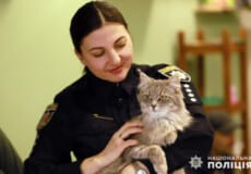 У Хмельницькому застосовують муркотливу терапію