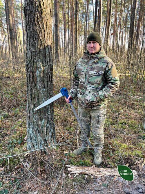 «Тепер я у спокої та тиші»: історія воїна-лісівника з Шепетівщини