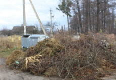 У громаді на Шепетівщині нагадали, що варто робити із сухим гіллям