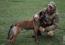 Рон із Хмельниччини вчиться шукати вибухівку та зброю