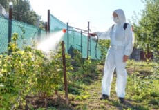 Засоби захисту рослин: як убезпечити посіви від шкідників та отримати щедрий урожай