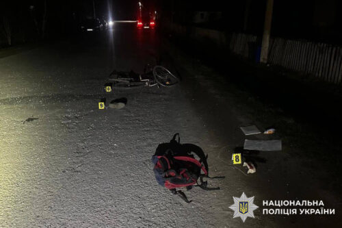 На Шепетівщині перед судом постане 25-річий чоловік, який скоїв ДТП зі смертельними наслідками та зник з місця події