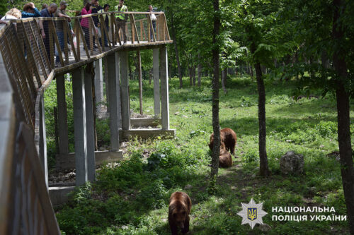На Хмельниччині поліцейські психологи організували для поранених колег візит до парку диких тварин
