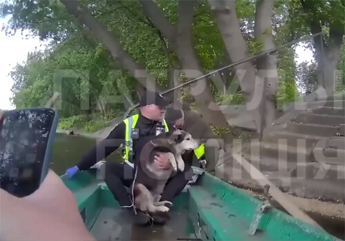 На Хмельниччині жінка зателефонувала на лінію 102 і цим врятувала тварину