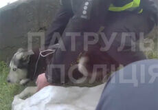 На Хмельниччині жінка зателефонувала на лінію 102 і цим врятувала тварину