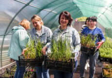 Поки її хлопці боронять Україну, вона вирощує квіти на мирне завтра: натхненна історія з Шепетівки