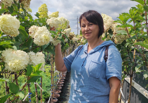 Поки її хлопці боронять Україну, вона вирощує квіти на мирне завтра: натхненна історія з Шепетівки