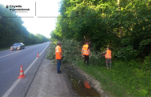 Стихія наробила лиха на Хмельниччині: буревій повалив дерева та травмував людину