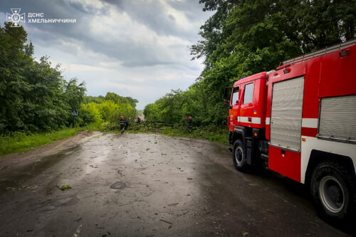 Стихія наробила лиха на Хмельниччині: буревій повалив дерева та травмував людину