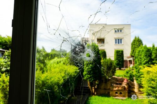 Мати викликала поліцію через погрози сина — той відкрив вогонь із карабіна