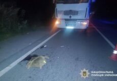 На Шепетівщині водій вантажівки наїхав на 27-річного пішохода