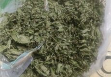 «М’ятну траву» намагалися передати у СІЗО на Хмельниччині