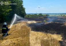 Житловий будинок, вантажівка та екосистеми: чотири пожежі ліквідували вогнеборці Хмельниччини 