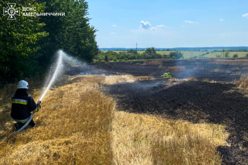 Житловий будинок, вантажівка та екосистеми: чотири пожежі ліквідували вогнеборці Хмельниччини 