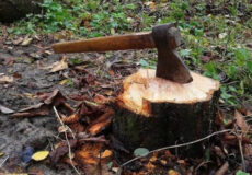 Чоловік із Хмельниччини відмовився компенсувати державі завдані збитки
