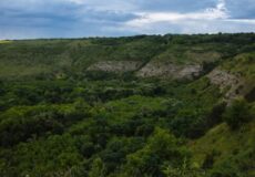 Хмельниччина, яку ви не знали: де можна побачити дно стародавнього моря