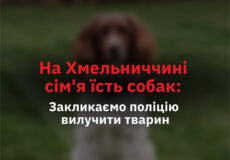 UAnimals повідомили, що сім’я на Хмельниччині «лікується» собаками від туберкульозу