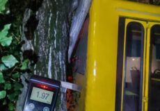 Маршрутка поїхала без справжнього водія і опинилася у дереві: інцидент у сусідній із Хмельниччиною області