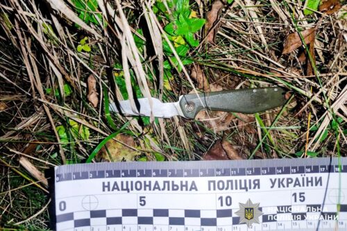 Таксист поранив пасажира і його собаку: чому звичайна поїздка перетворилася на криваву драму