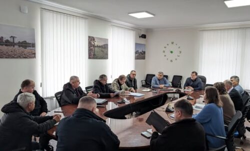 Сказ у Славуті: місто ввело карантинні обмеження, мешканців закликають вакцинувати тварин