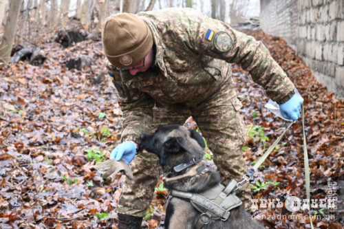 На Хмельниччині гвардійські кінологи вдосконалюють навички службових собак