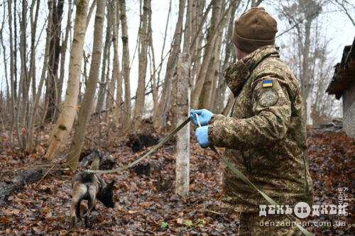 На Хмельниччині гвардійські кінологи вдосконалюють навички службових собак