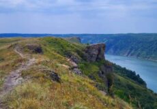 Бакота, Сокіл і Товтри стали магнітом для рідкісних птахів: нові дані науковців