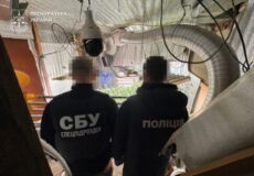 Пів кіло канабісу, гранати й 1,3 мільйона: судитимуть наркокартель із Шепетівщини