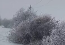 В одній із громад Хмельниччини лютує негода: без світла 4900 споживачів