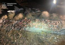 Мільйони на зникаючій рибі: у заповіднику на Хмельниччині викрили масштабний браконьєрський вилов