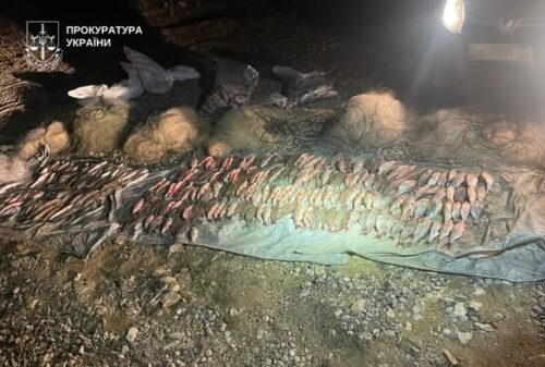 Мільйони на зникаючій рибі: у заповіднику на Хмельниччині викрили масштабний браконьєрський вилов