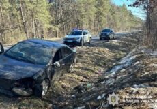 Уникав зіткнення з твариною: на Шепетівщині автомобіль злетів у кювет і перекинувся