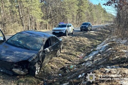 Уникав зіткнення з твариною: на Шепетівщині автомобіль злетів у кювет і перекинувся
