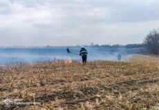 24 пожежі за добу: рятувальники Хмельниччини ліквідували займання в екосистемах та будівлях