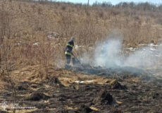 На Хмельниччині горіли будинки, автомобіль і суха рослинність