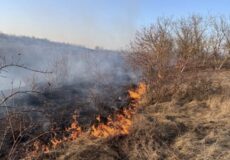 Палії трави під прицілом: за вихідні на Шепетівщині склали 10 протоколів