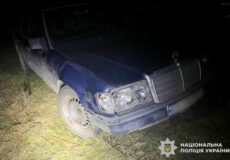 Водійка збила благородну зірку соцмереж Бориса: її розшукала поліція