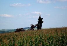 Грізні віщування «Богданового дуба» на Хмельниччині: що про це відомо