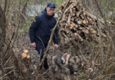 Один загинув, а 4-річного шукають другу добу: фахівці з Хмельниччини долучилися до масштабної операції на Рівненщині (Відео)