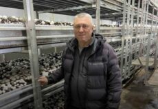 Сімейний грант на Хмельниччині: як досвід у перевезеннях та вирощування грибів об’єдналися в успішний бізнес