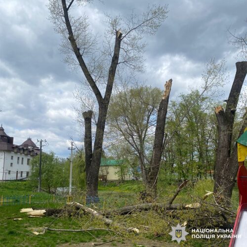 Дерева впали просто на дитячий майданчик: у сусідній із Хмельниччиною області травмувалися двоє дітей