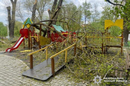 Дерева впали просто на дитячий майданчик: у сусідній із Хмельниччиною області травмувалися двоє дітей