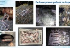 Сітки, штрафи і кримінал: як на Хмельниччині борються з порушниками правил рибальства